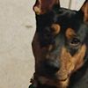 stitch_827