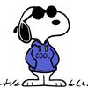 jooecool
