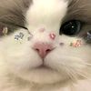 dipssye
