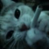 boo.broo.o.0