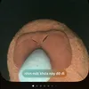 iam.19_12