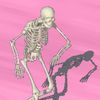 skomyskomy