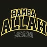 amirhamdi26