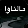 sarwarabvbakr
