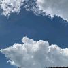 syaf_479