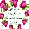 rd3_p