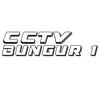 cctv_bungur1