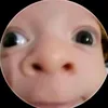 loisieudri002