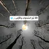 nor.min.rabi1994