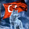 kurt_efe_55_05