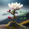 bn_hassan123