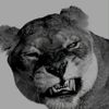 beast_9mm