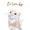 2catshop