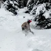 alessio_ta