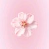 shelovescandy1