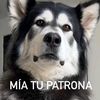 martinilla134