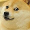 thetwitchpilot