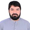 halim526627