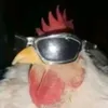 nfddnalangkitdi