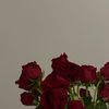 norah_578