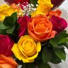 mrs_hb01