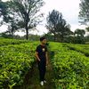 sur_yana1