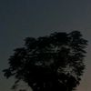 NiveX_