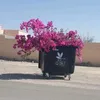 alhananspring880