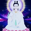 giahanhuynh6