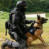 k9zimuta77