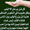 ahmed1400_