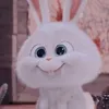 yeshuagomes