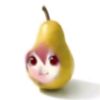 not_d1ce