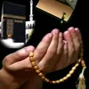 inginsetia8