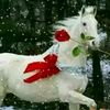 javidmughal00