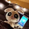 lulliyanibee