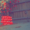 raifi_rafa_