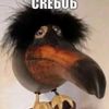 grasaas
