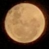 leo5679
