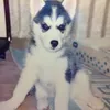 okanemoch