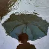 manhducghethoavl