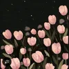 8p.8y