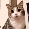 mgsangaming7