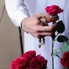 alshheen2