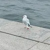 anastazjakej