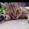 fatima_oulad88