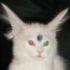 wqrxsssf