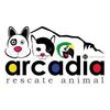 arcadiavenezuela
