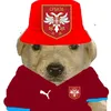 lukanikolic06