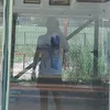 _7...7...7...7_